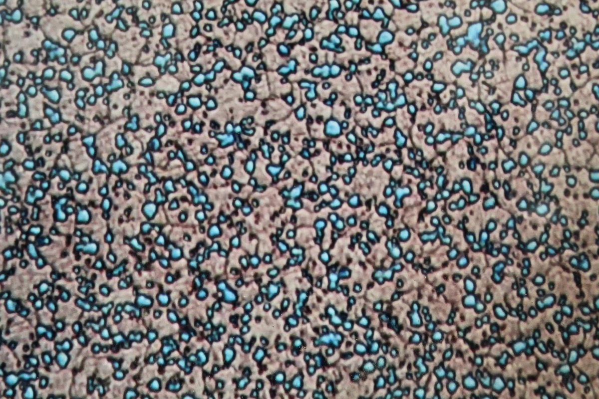 Microscopic carbide structure of MagnaMax knife blade steel showing fine carbide distribution and reduced carbide volume for improved toughness and wear resistance.