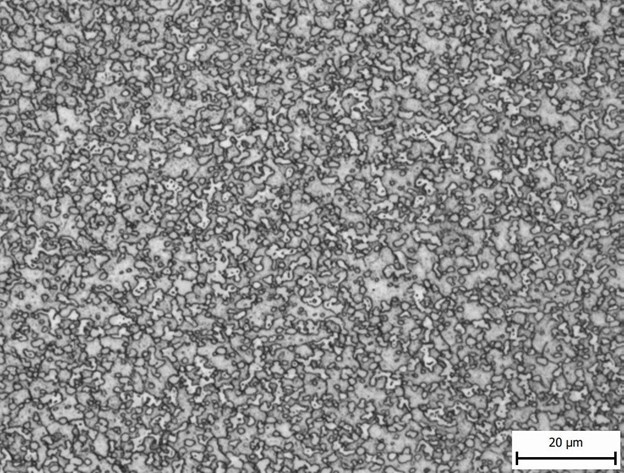 Microscope image of S110V carbide structure used for comparison against MagnaMax and other high edge retention stainless steels.