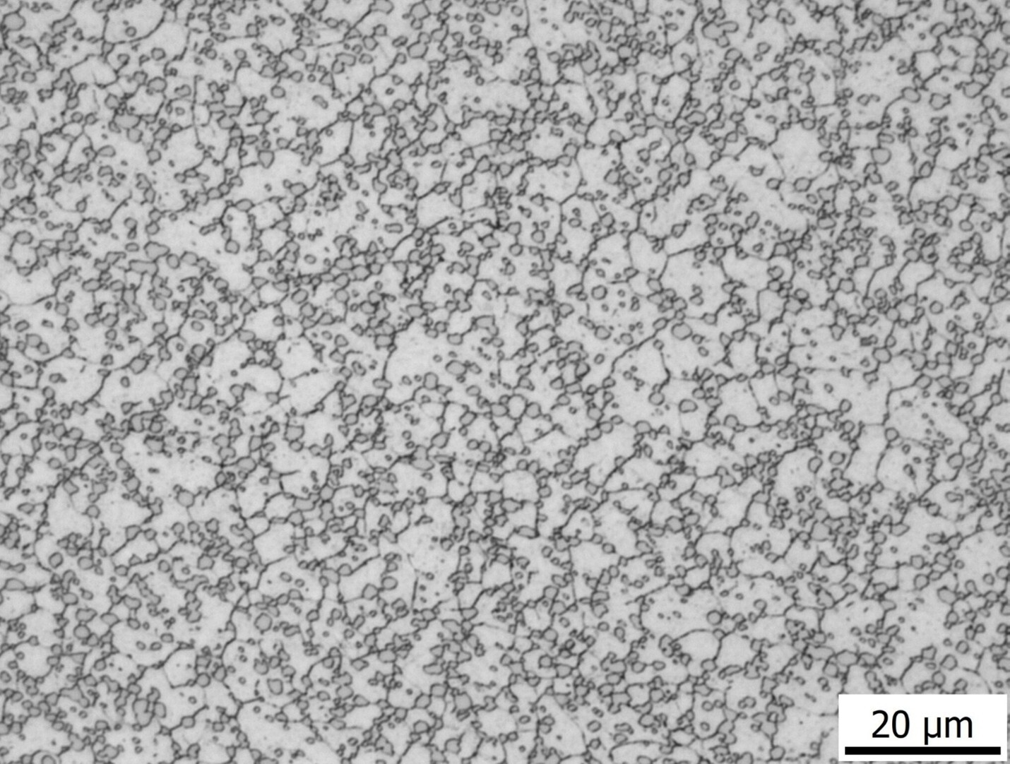 Microscope image showing MagnaMax carbide microstructure with fine vanadium and niobium carbides contributing to high wear resistance and toughness.