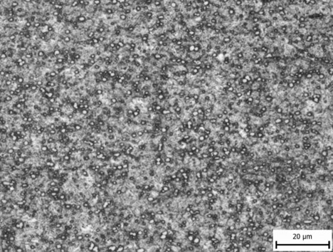 Microscope image of MagnaCut carbide structure demonstrating lower carbide volume compared to MagnaMax, contributing to different wear resistance properties.